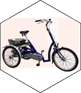 tricycle velo maxi confort pmr senior electrique