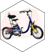 tricycle velo enfant mini pmr senior electrique